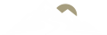DDF-white-icon